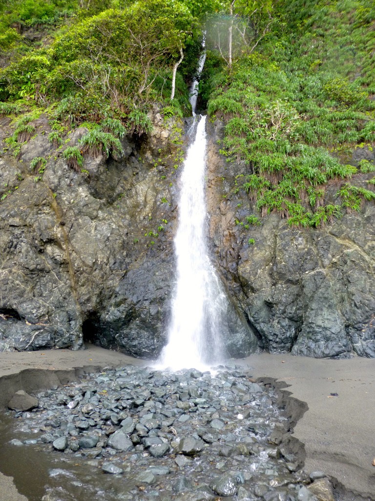 P1020123-768x1024