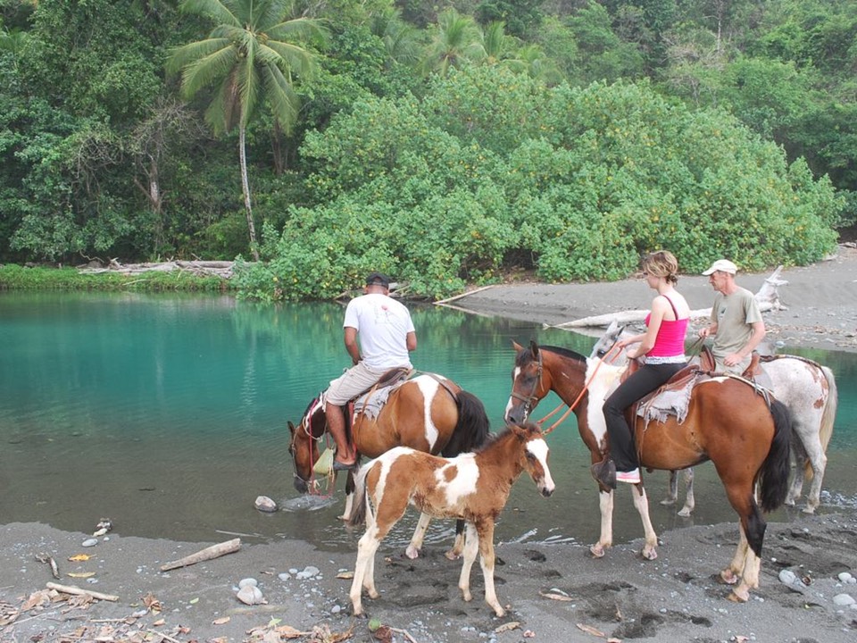 img_070