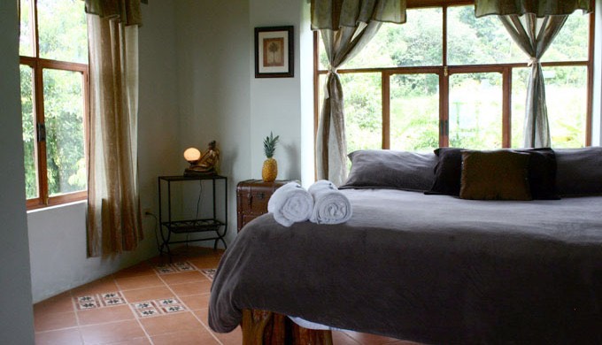 jungle-suite-frontalr-680x390
